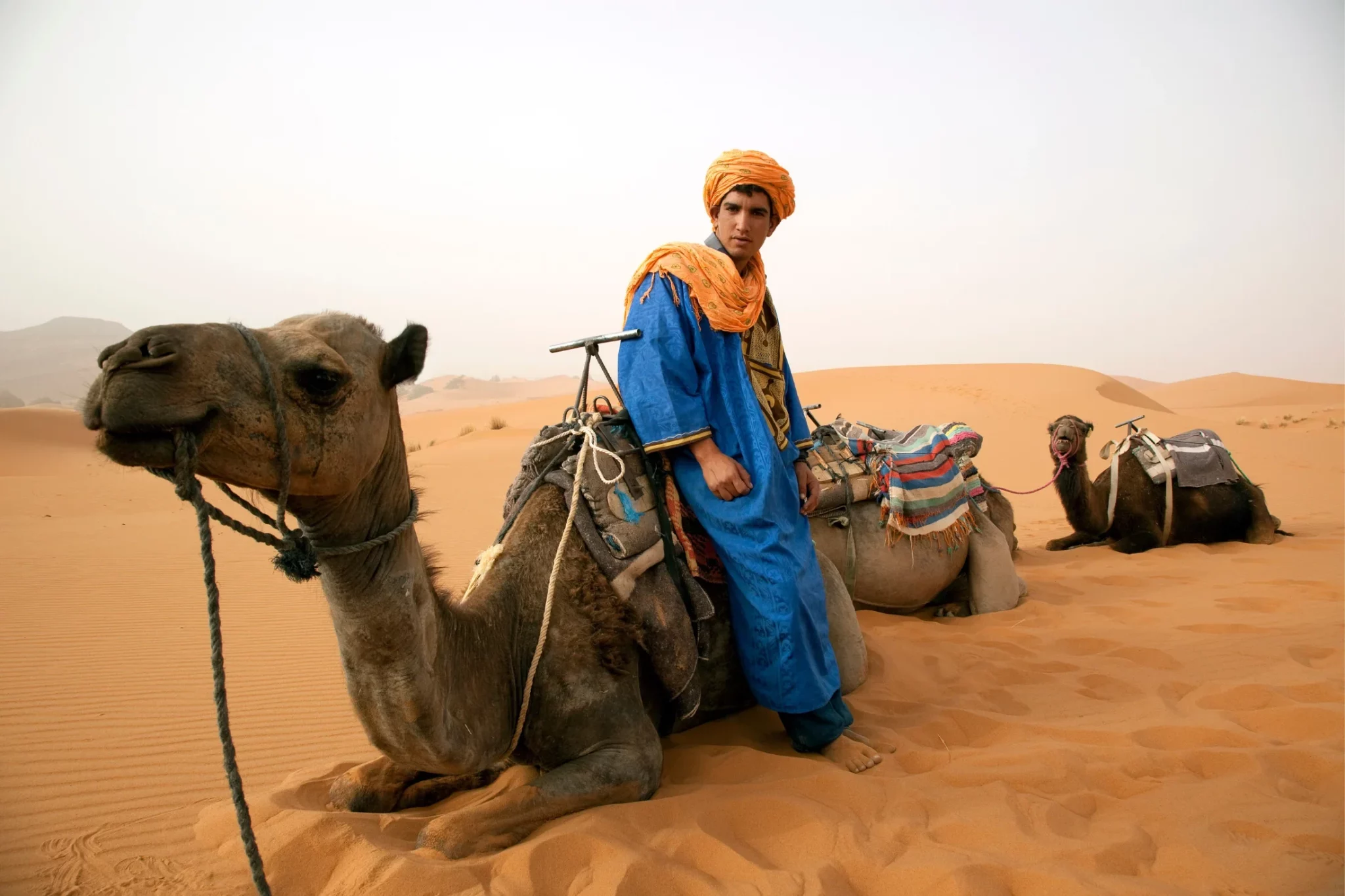 Bedouin and Camels in Sahara Desert, Morocco