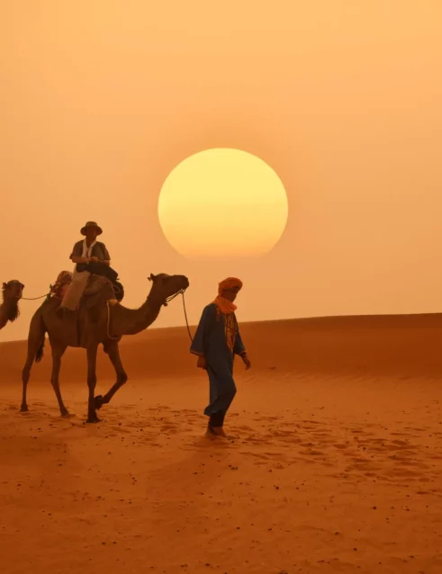 Camel caravan in the desert.