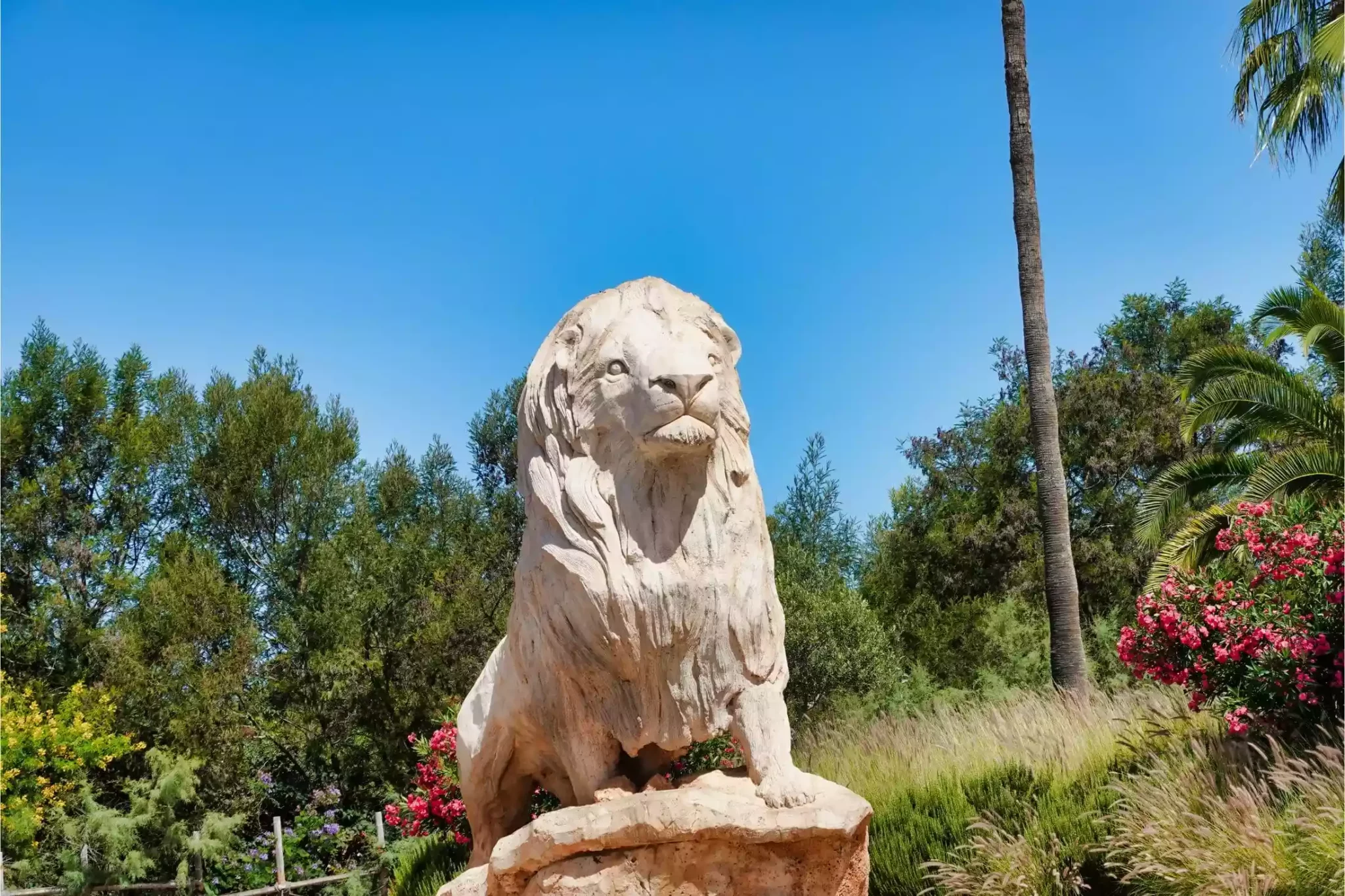 Statue of an Atlas Lion in The National Zoo of Rabat, symbol of Morocco’s National Pride